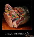 gallery_20599_2871_60886_t1.jpg