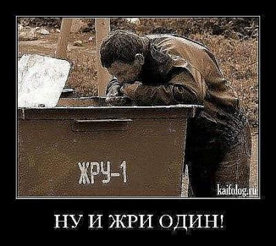 x_03f262d0.jpg